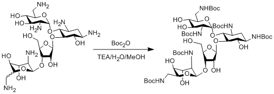 Reaction Scheme